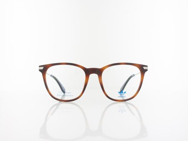 Adidas | OR5031 053 52 | blonde havana