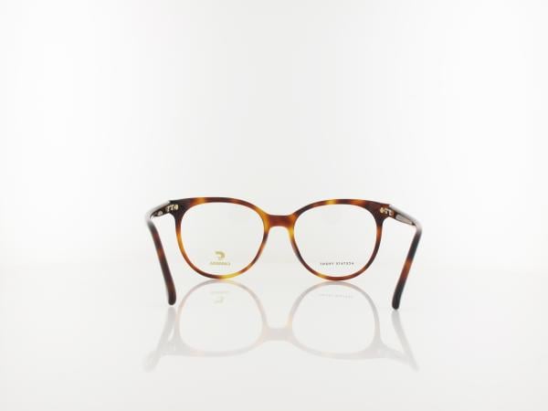 Carrera | CARRERA 3059 WR9/ 52 | brown havana