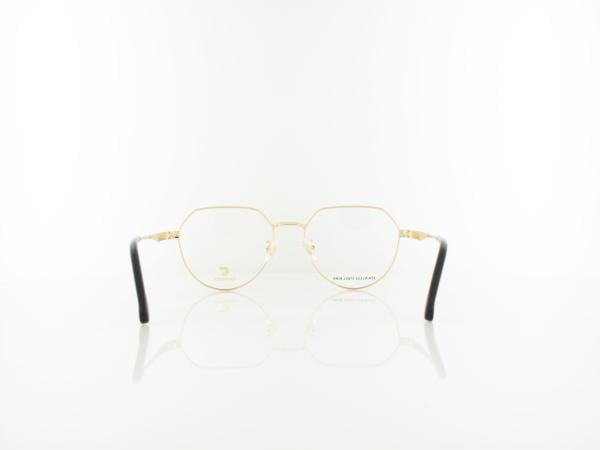 Carrera | CARRERA 3076 RHL 52 | gold black