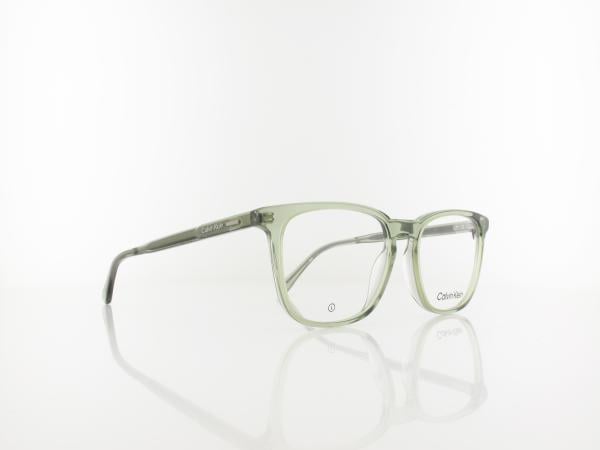 Calvin Klein | CK24519 300 53 | green