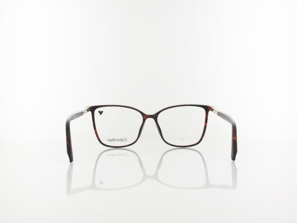 Calvin Klein | CK24545 235 56 | dark havana