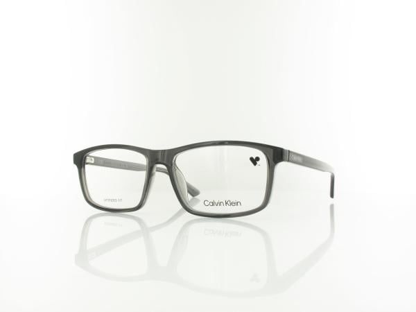 Calvin Klein | CK25546 035 58 | transparent grey