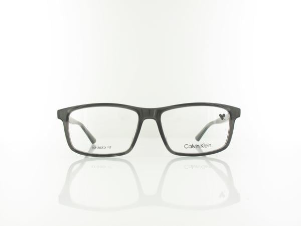 Calvin Klein | CK25546 035 58 | transparent grey