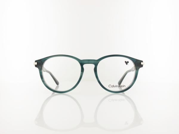Calvin Klein | CK26513 417 52 | transparent striped blue