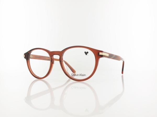 Calvin Klein | CK26513 618 52 | transparent brick