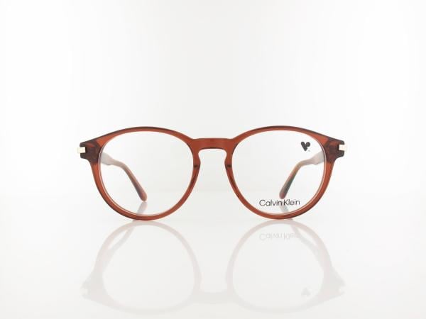 Calvin Klein | CK26513 618 52 | transparent brick