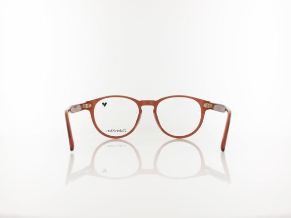 Calvin Klein | CK26513 618 52 | transparent brick