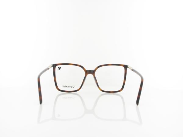 Calvin Klein | CK26518 240 54 | havana