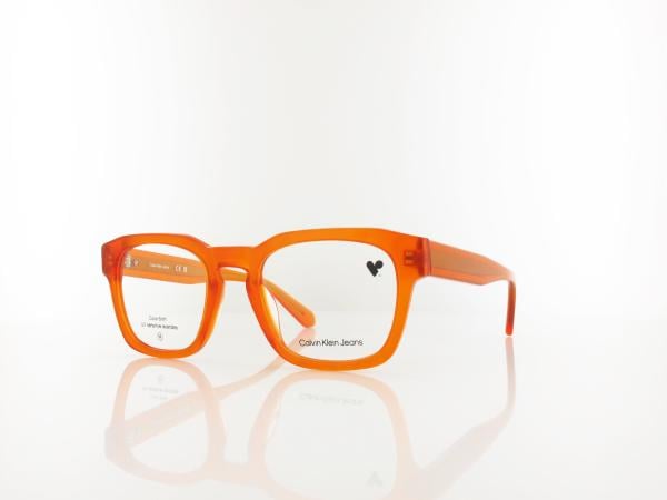 Calvin Klein | CKJ25610 201 51 | brown to havana