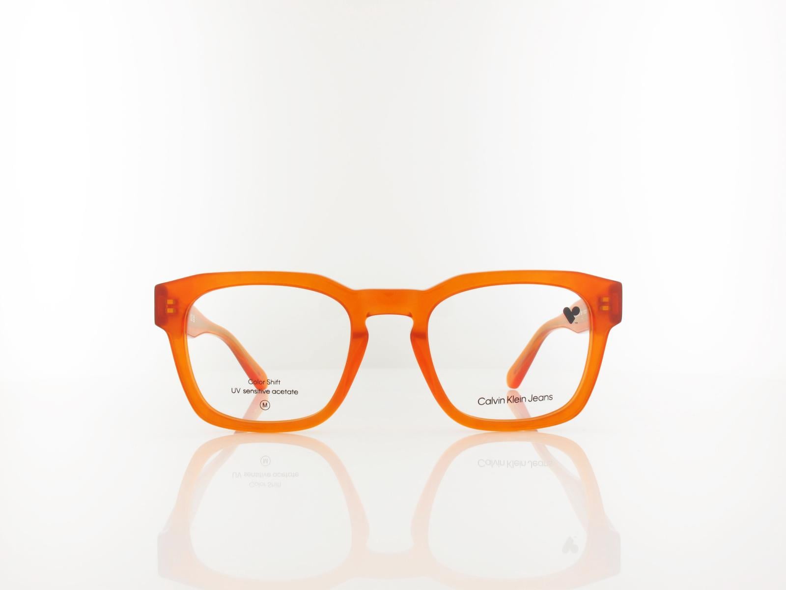 Calvin Klein | CKJ25610 201 51 | brown to havana