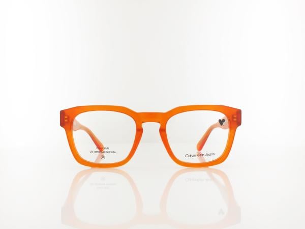 Calvin Klein | CKJ25610 201 51 | brown to havana