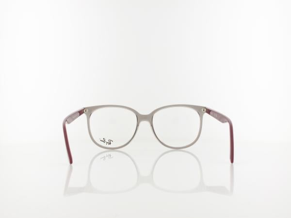 Ray Ban | RX4378V 8083 54 | transparent grey