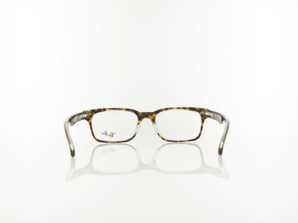 Ray Ban | RX5286 5082 51 | top havana on transparent