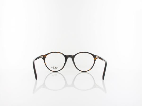 Ray Ban | BERNARD RX5430 2012 49 | havana