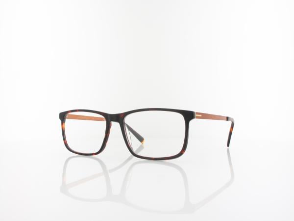 Brilando | AC33 A 55 | turtle