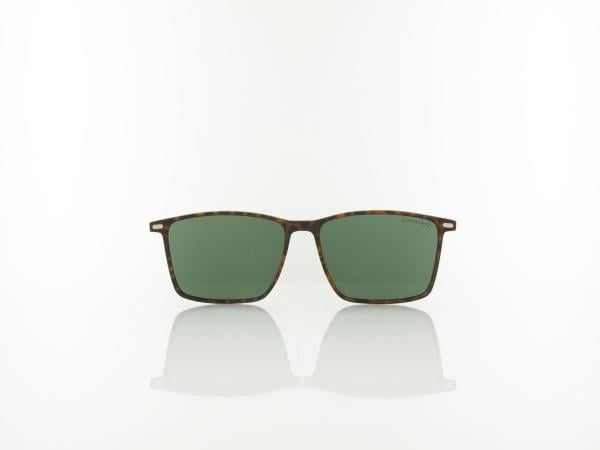 Brilando | CLIP TRC-196A-1 | havana / green polarized