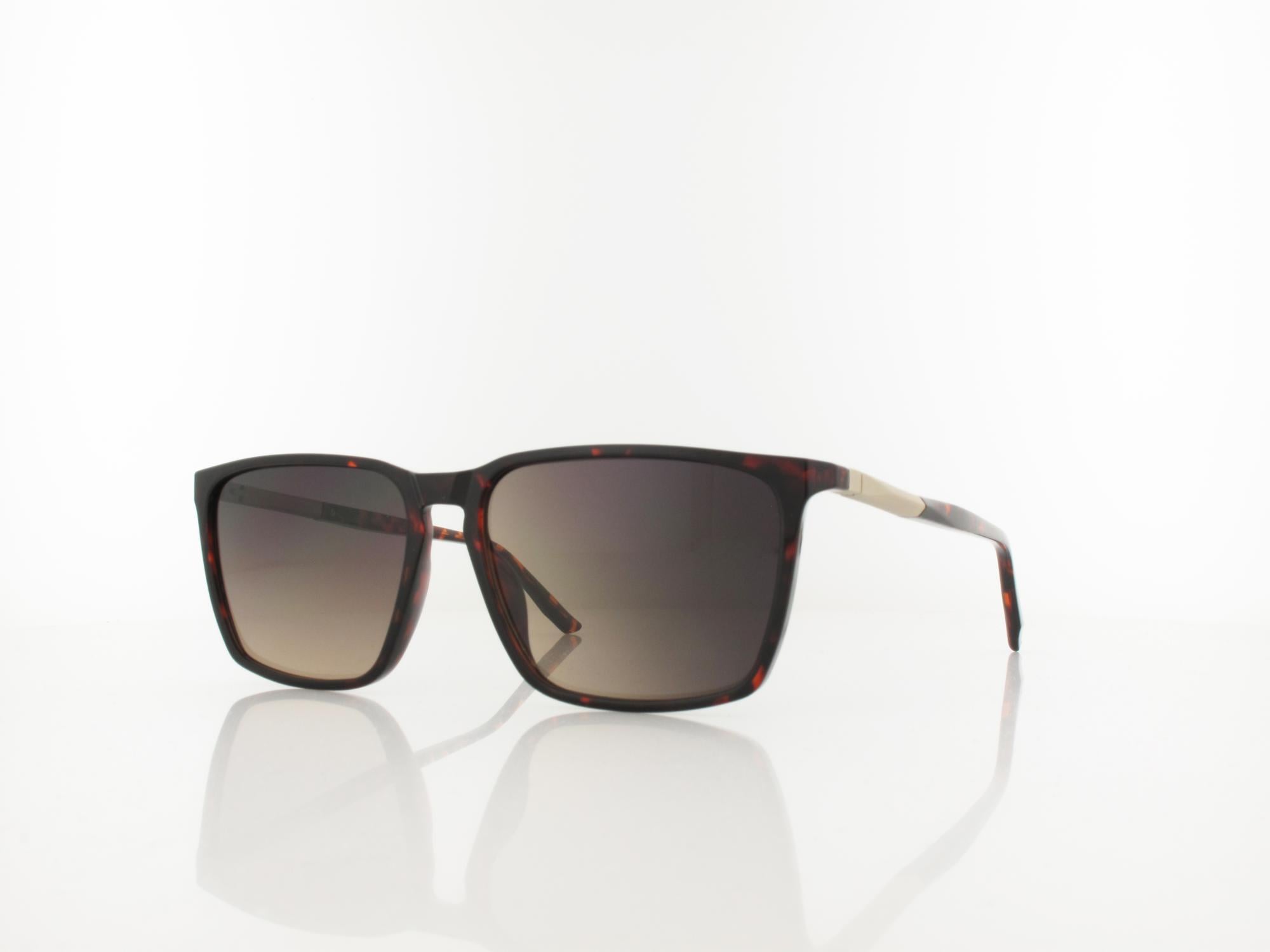Calvin Klein CK25505S 240 58 havana / grey gradient