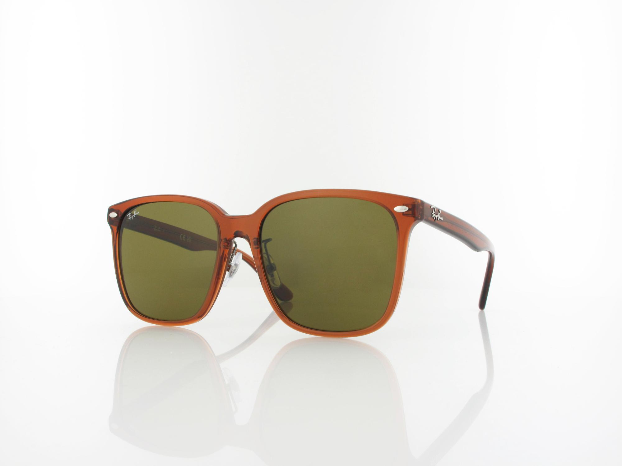 Ray Ban RB2206D 663673 57 transparent brown / dark brown