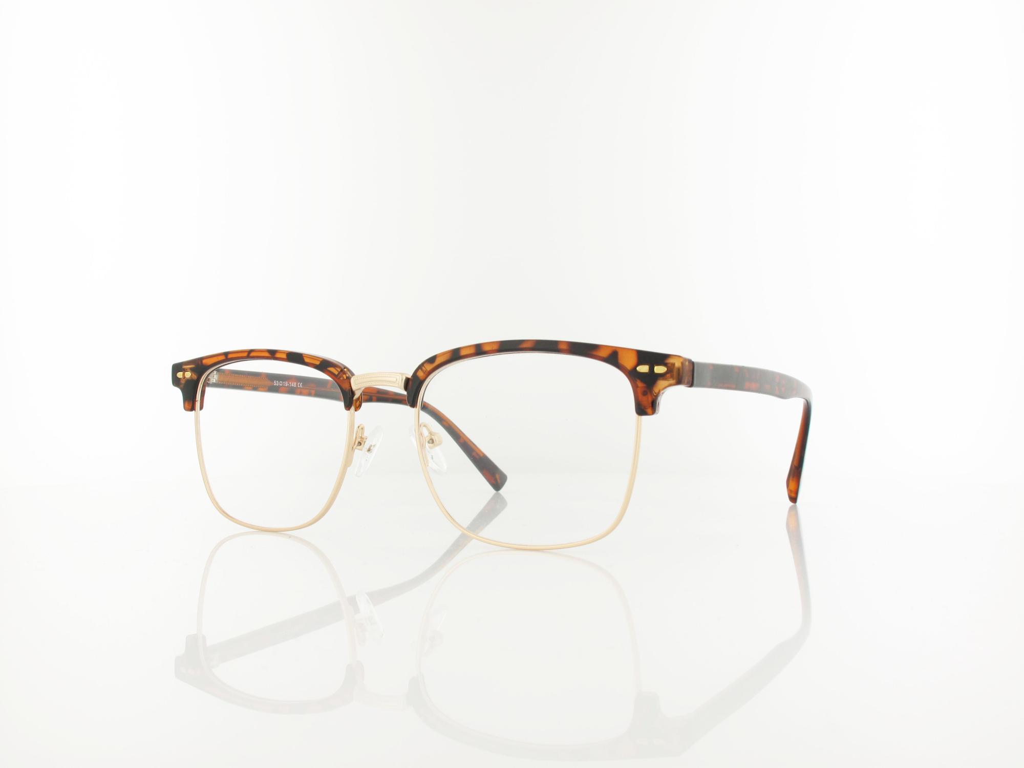 Brilando 886 E 53 shiny turtle